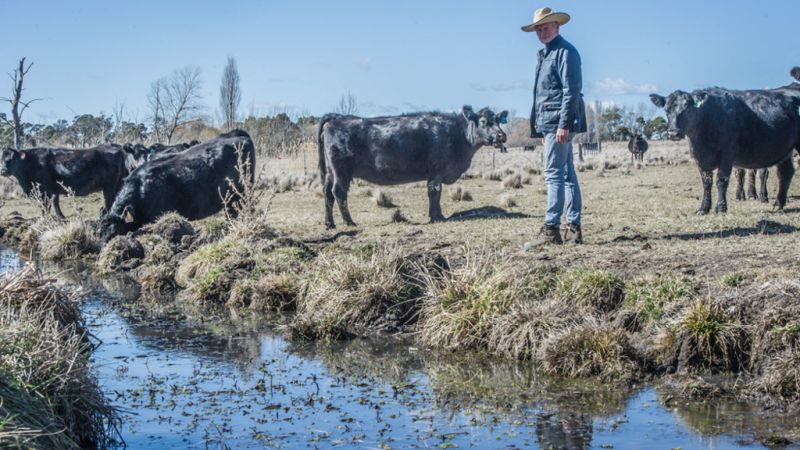 Australian Farmers Driving Up Profits Through Regenerative Agriculture