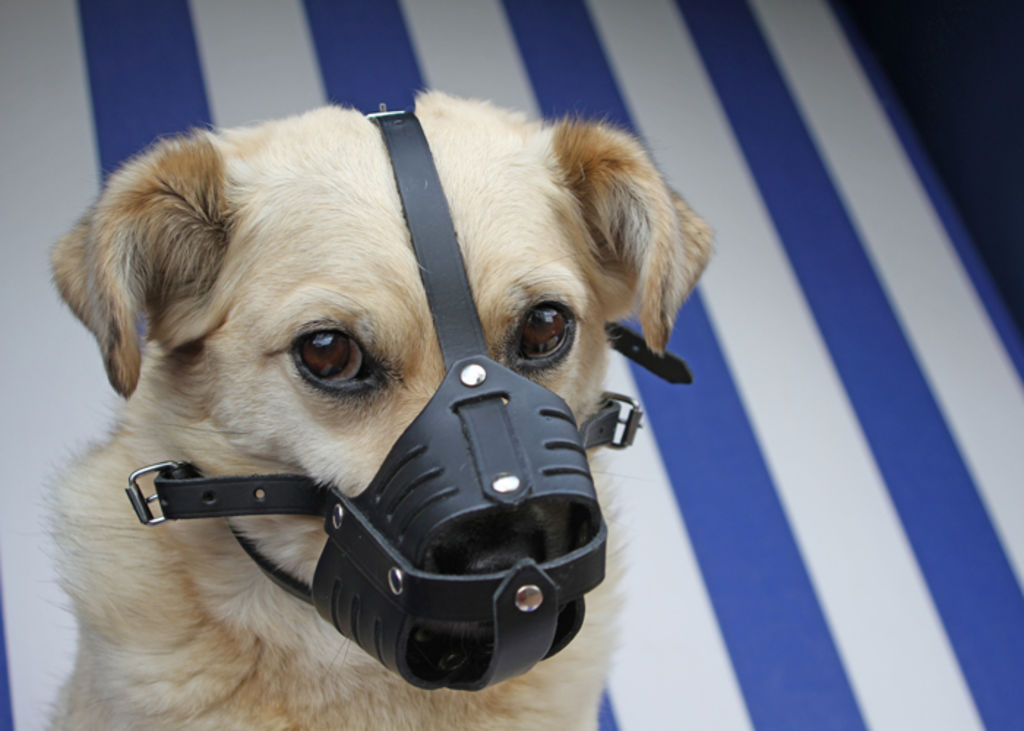 Bunnings dog muzzle sale