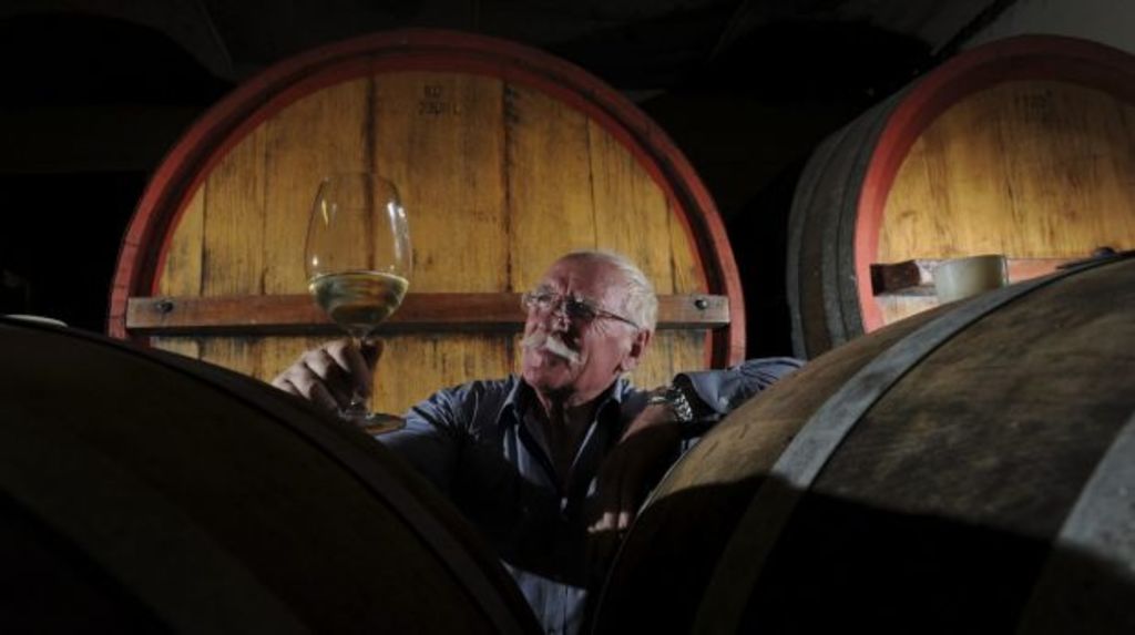 Vineyards fret over tax reforms amid earliest vintage in living memory