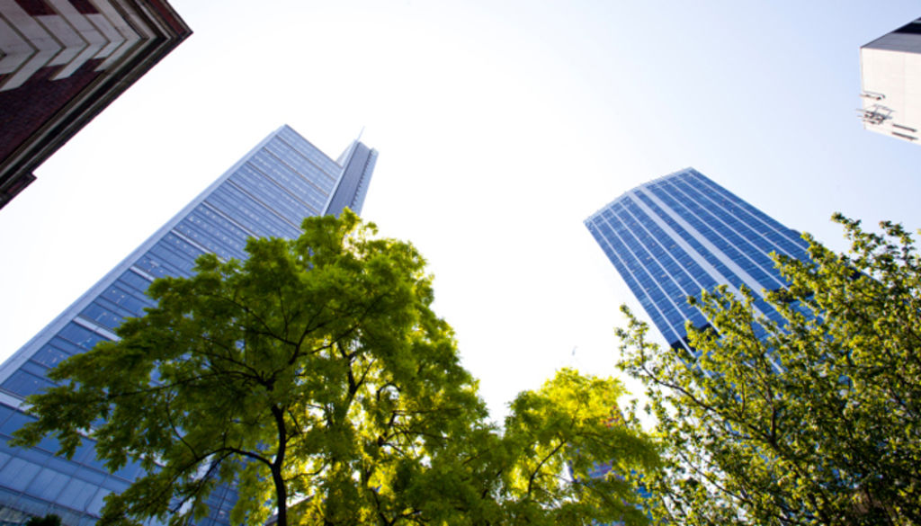 Our cities need more trees, but that means being prepared to cut some down