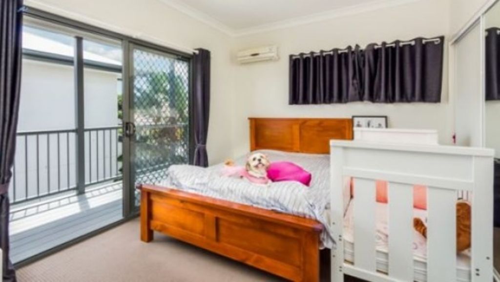 The Queensland dog who stars in real estate photos, sells property