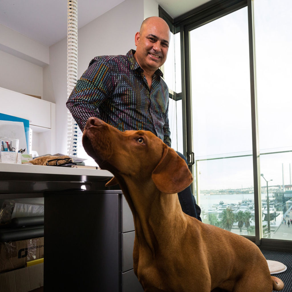 Pets and the city: The new breed of offices where animal magnetism is fur real