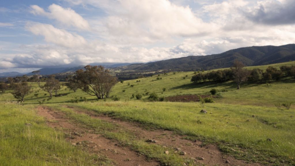 Australian rural land sales boom to $17.5 billion in 12 months