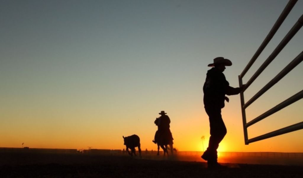 Gina Rinehart launches $370m bid for Kidman cattle empire