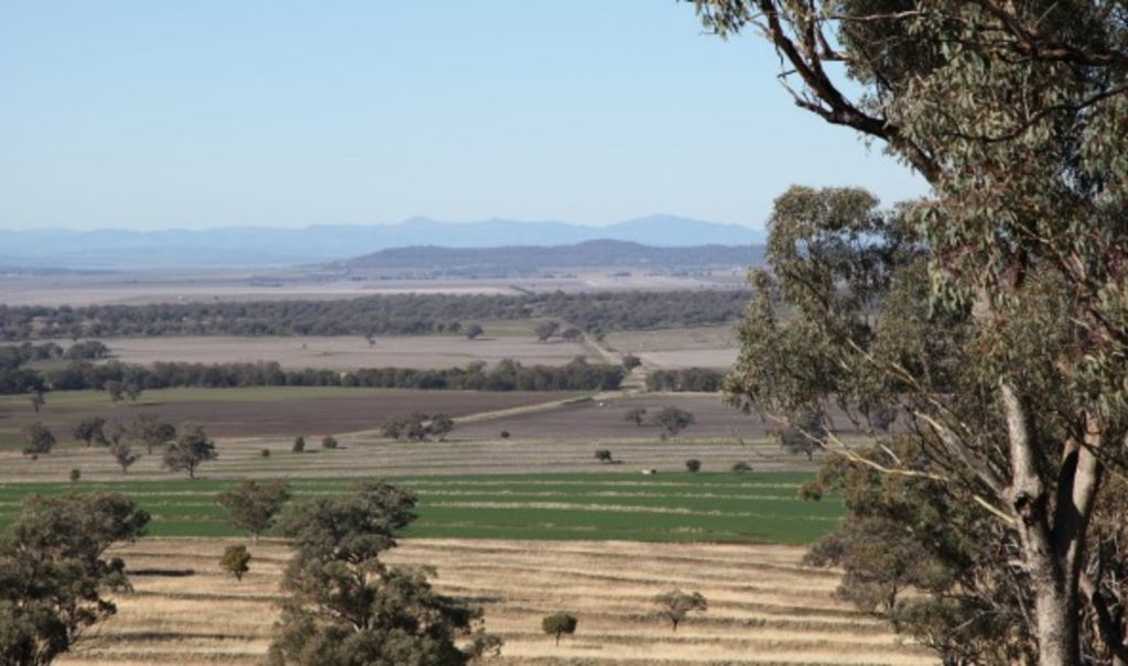 Farm sales to slow but values to keep rising