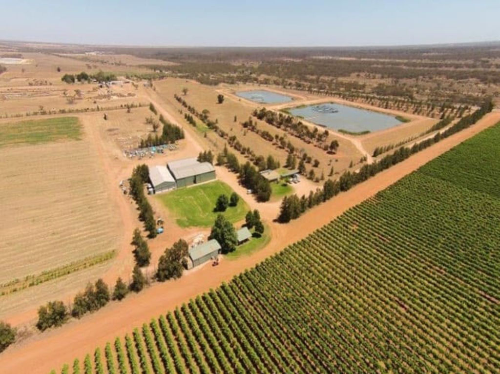Beasley family to sell giant Sunraysia agribusiness operation