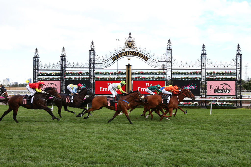 Victoria Racing Club considers next move for Flemington land