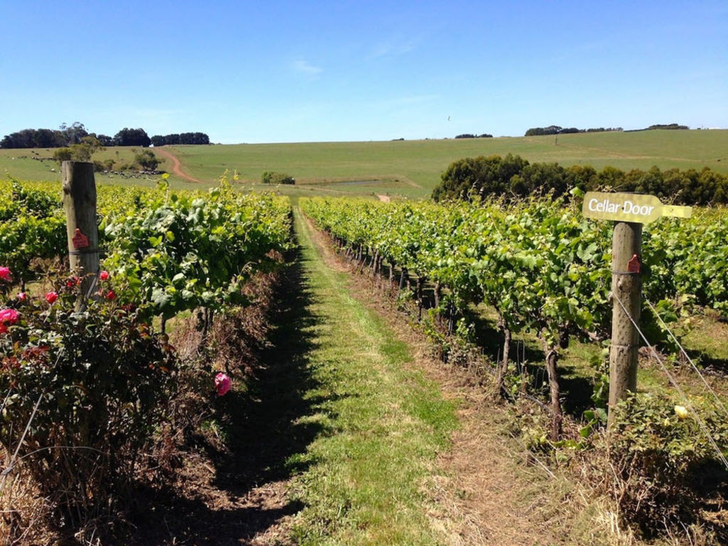 Five Victorian vineyards to pick if you enjoy making your own drop