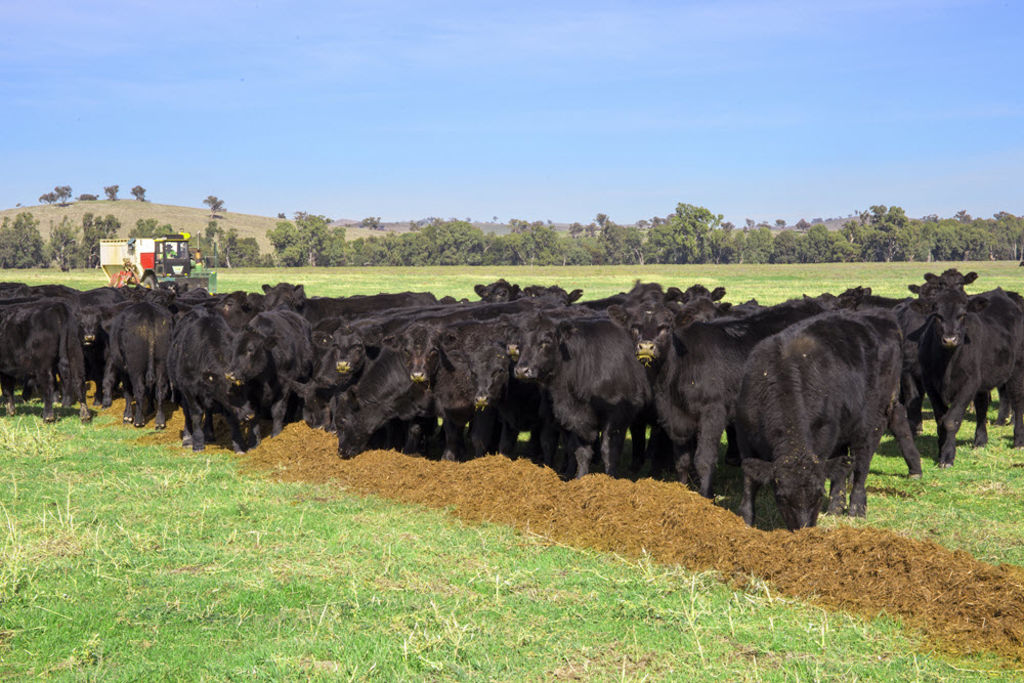 Abingdon Station near Gundagai hits the market