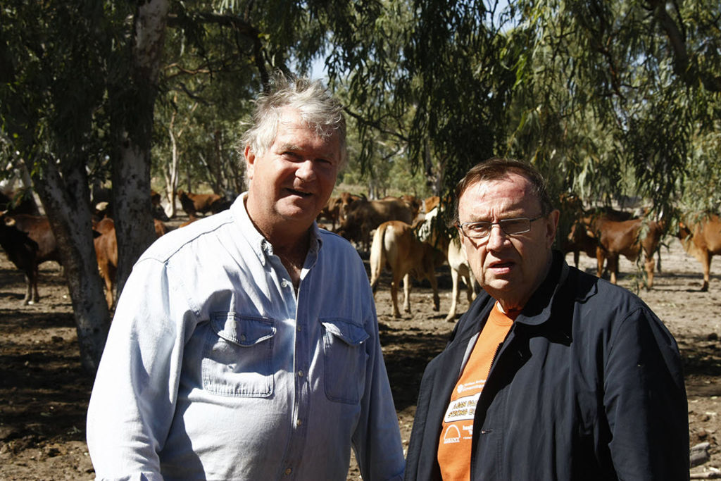 Harold Mitchell musters $70 million Kimberley cattle station deal