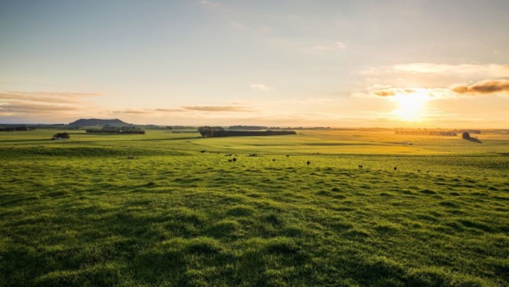 Thomas Foods take Mt Schanck in $50m farm deal