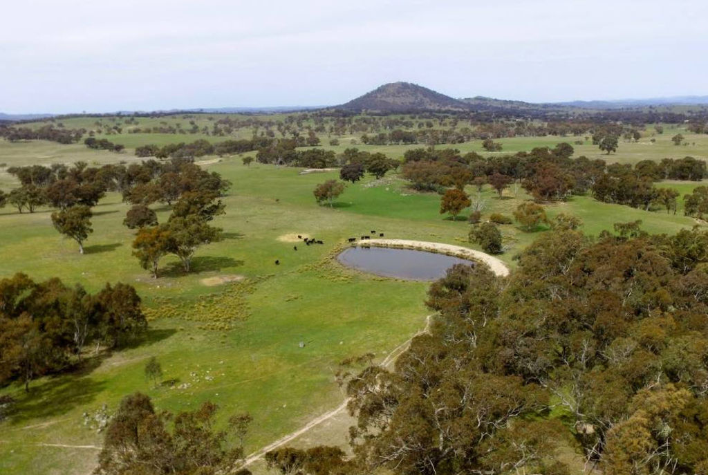 Local buyers drive rural property prices to new heights