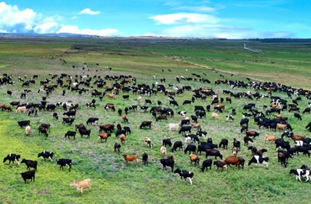 New Zealand rich lister Allan Pye selling Tassie farm for $65m