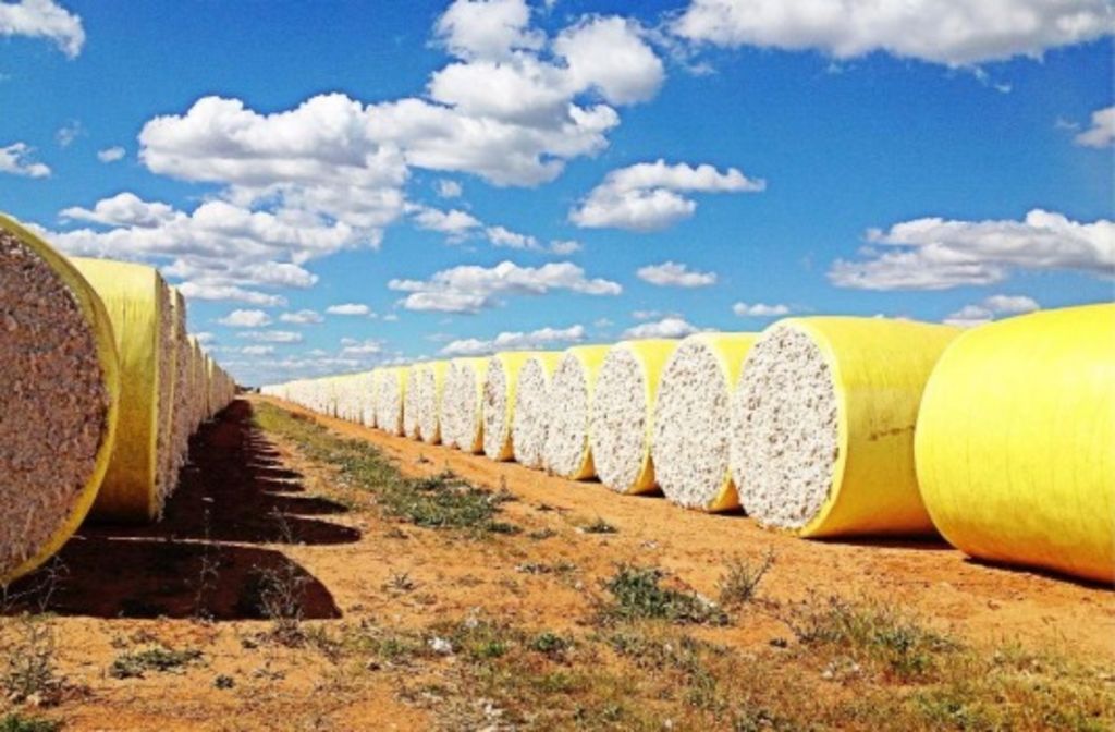 Kahlbetzer family hooks foreign buyers for Twynam farms