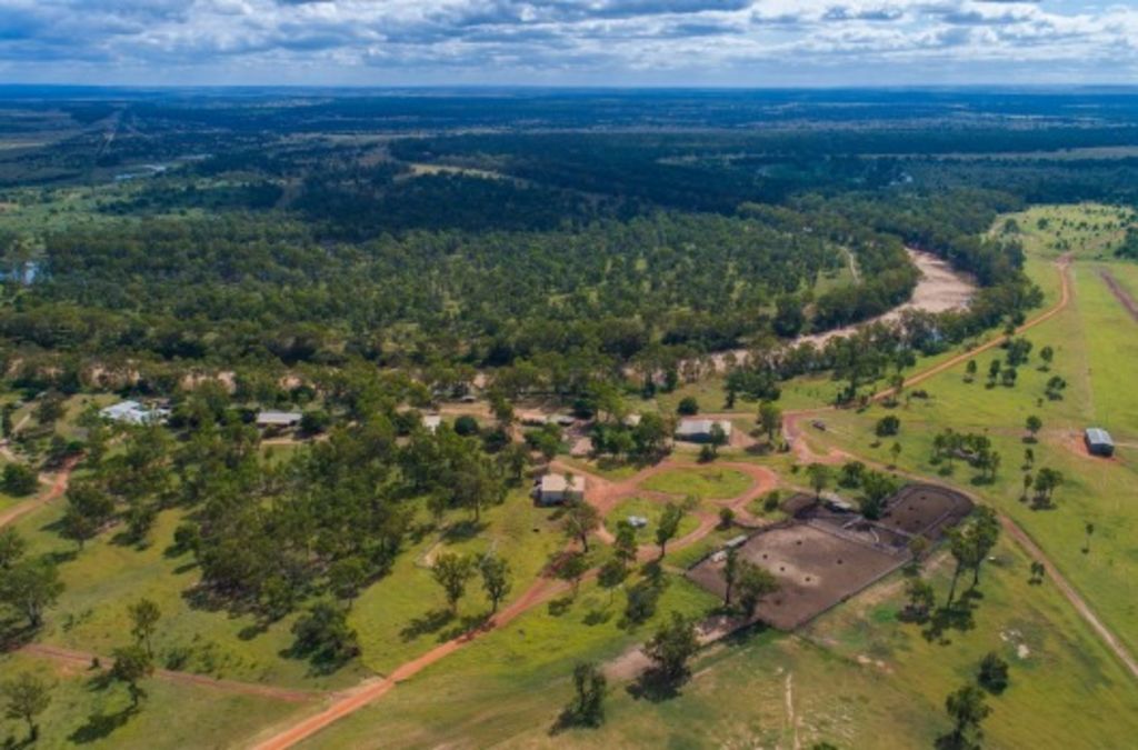 Mining company Pembroke buys Queensland cattle stations for $50m