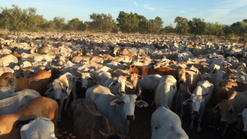 Rural Funds beefs up its portfolio buying Comanche for $15.7 million