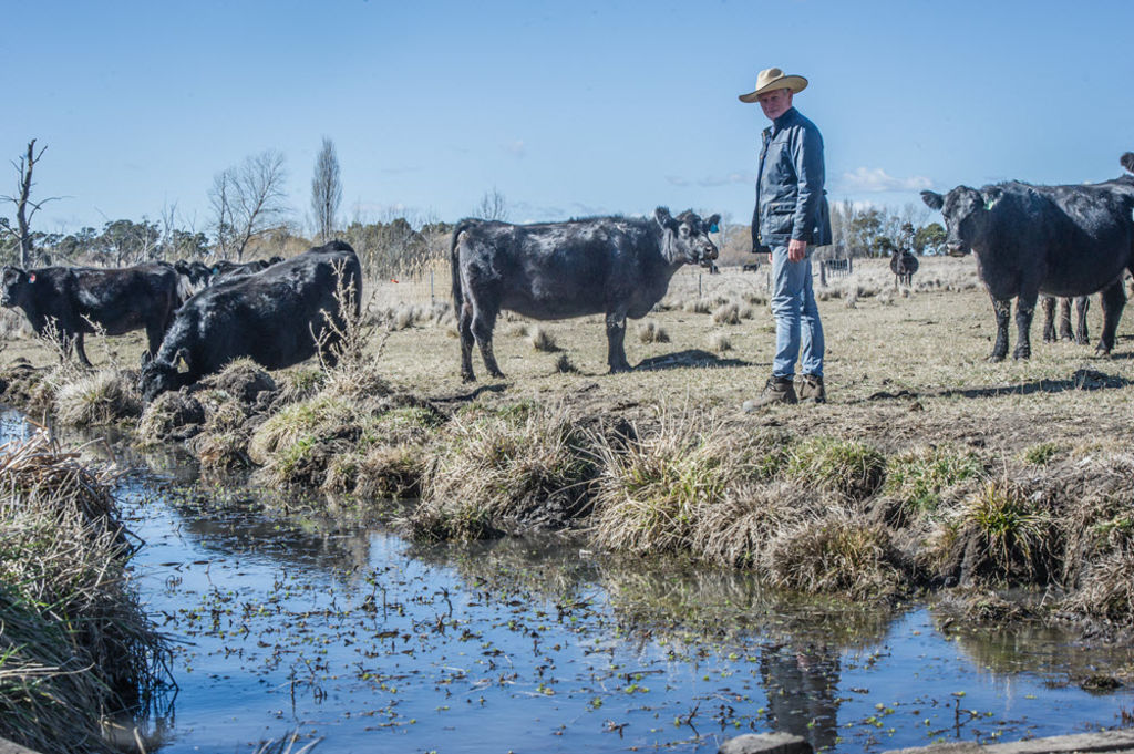 Australian farmers driving up profits through regenerative agriculture