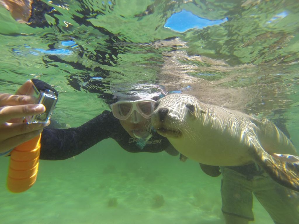 7 businesses to dive in to before summer