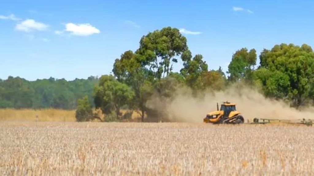 CBRE agribusiness specialists Duncan McCulloch and James Beer join Colliers