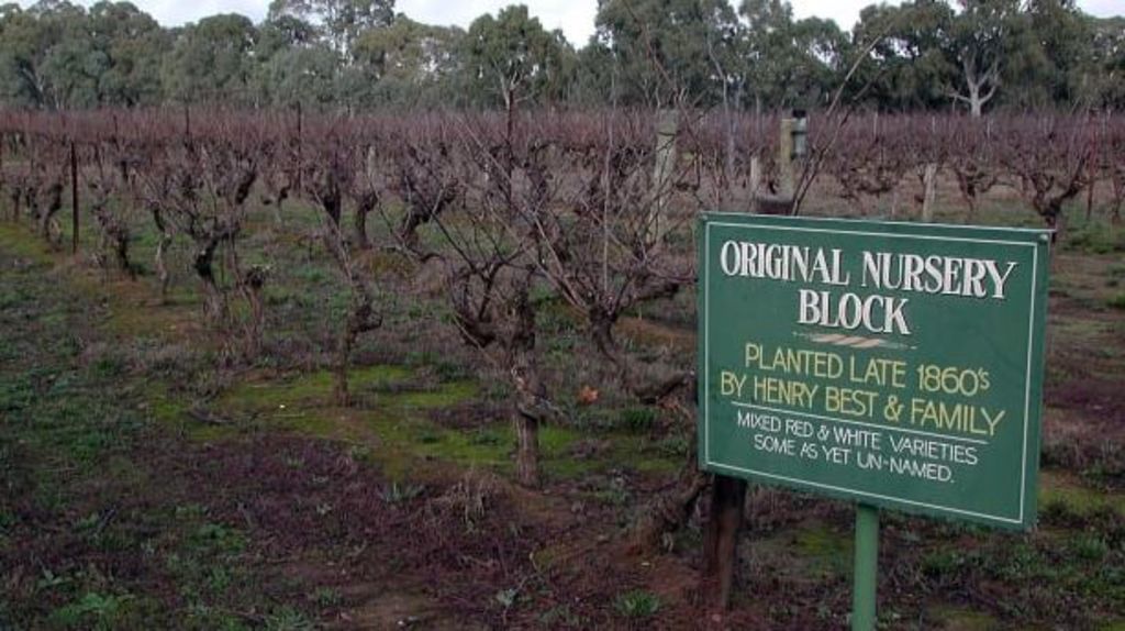 Best's Wines buys Mount Sugarloaf Vineyards in the Grampians
