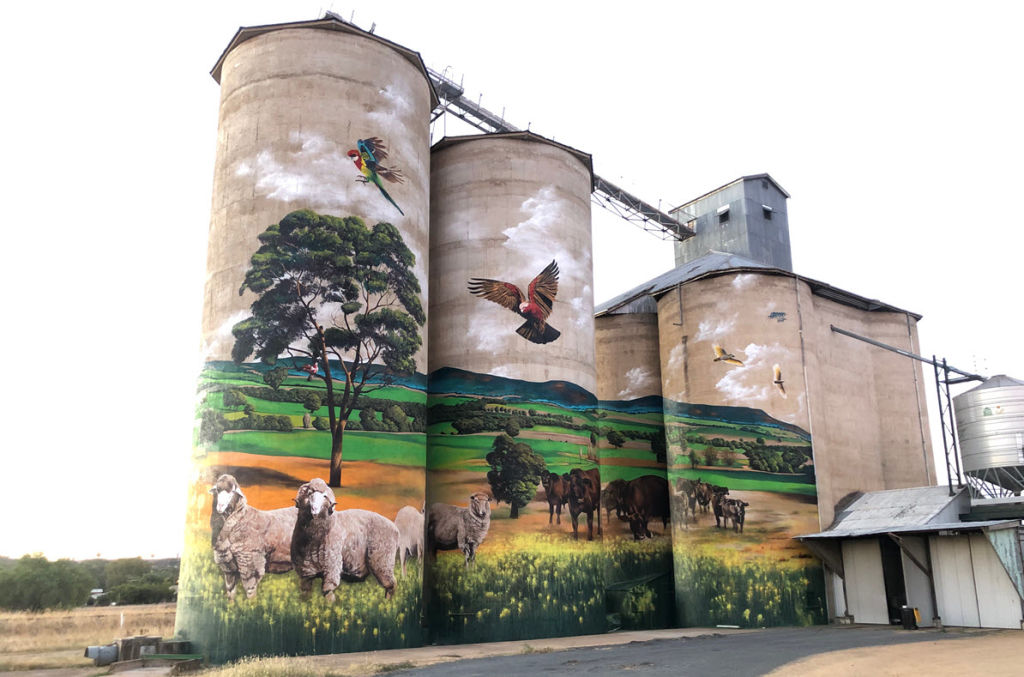 Grenfell is the latest rural town to join the Silo Art Trail with mural by Melbourne artist Heesco