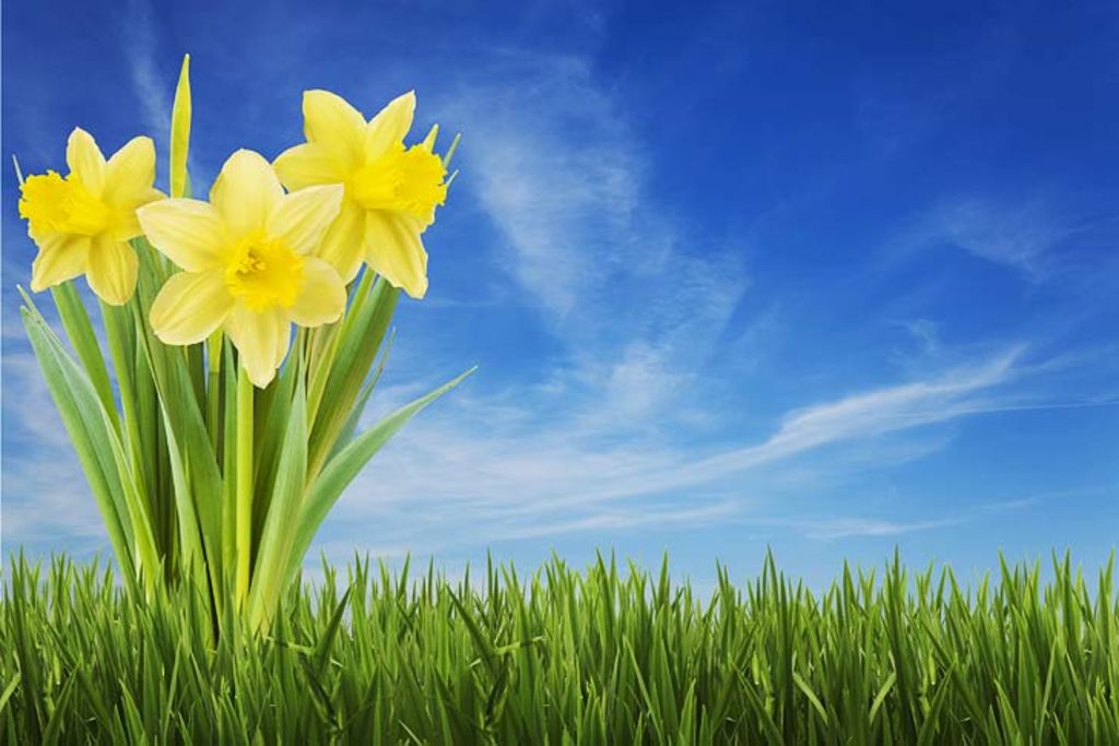 Lightbulb moment for landlords