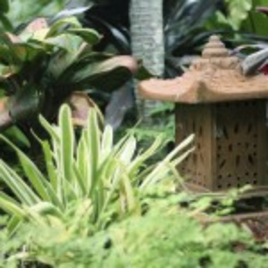 Decorate Your Way To A Balinese Paradise