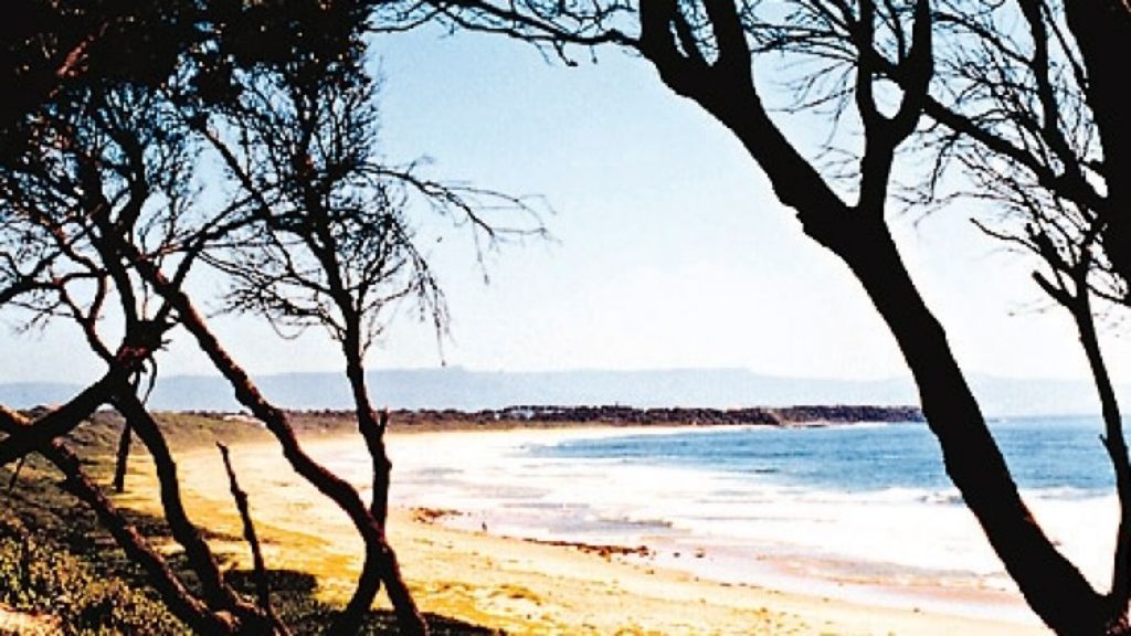 Holidaymakers circle Culburra Beach with an eye to snapping up property