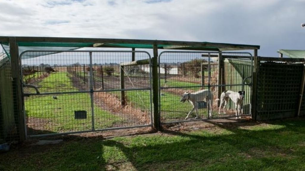 Stuart Mills’ Tooradin livebaiting greyhound track up for sale