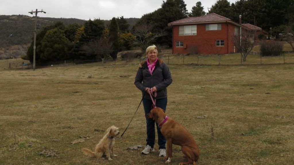 Snowfalls Give Buyers More Reason To Swoon Over Snowy Mountains Properties