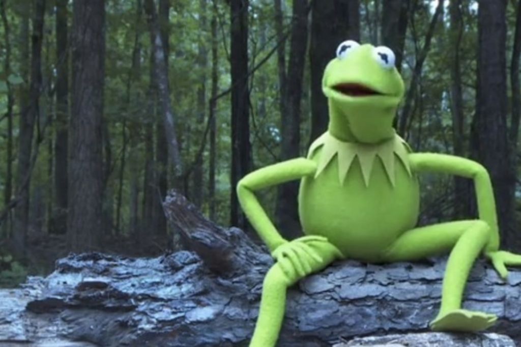 Keeping up with Kermit