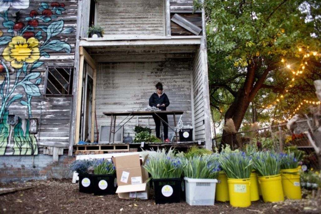 A florist's vision turns an abandoned house into a piece of art 