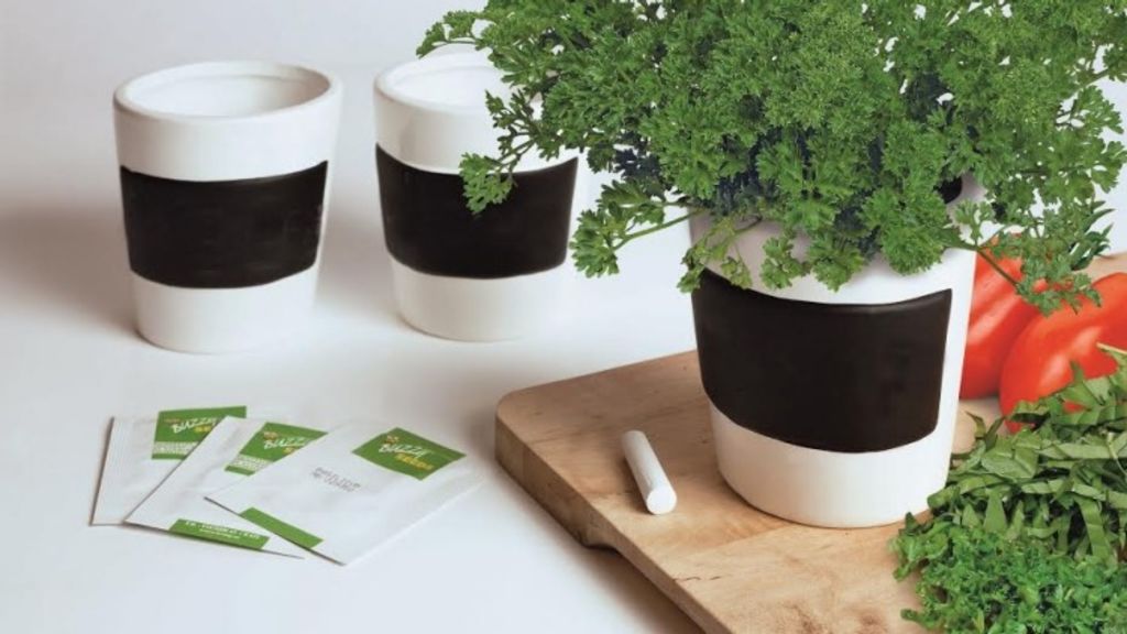 How To Grow A Herb Garden In A Unit