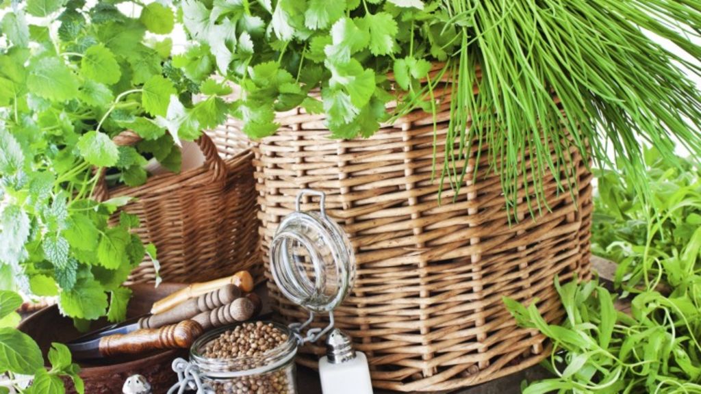 The five easiest herbs to grow