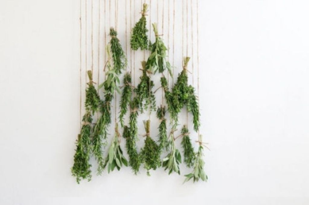 DIY Christmas trees for any space