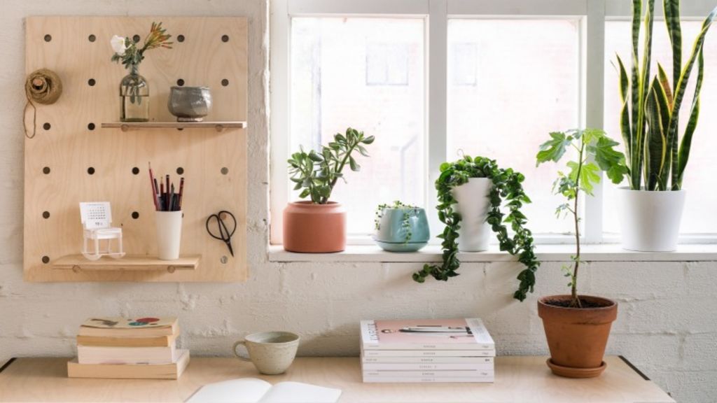 Julia Green of Greenhouse Interiors on how to style shelves like an expert