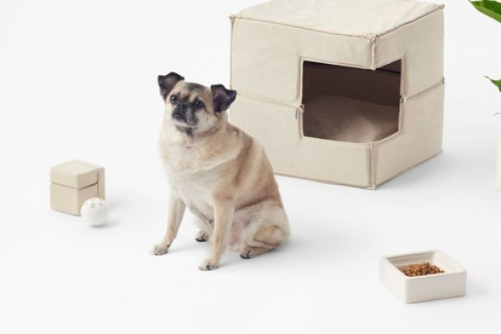 Minimalist furniture for your minimalist pet