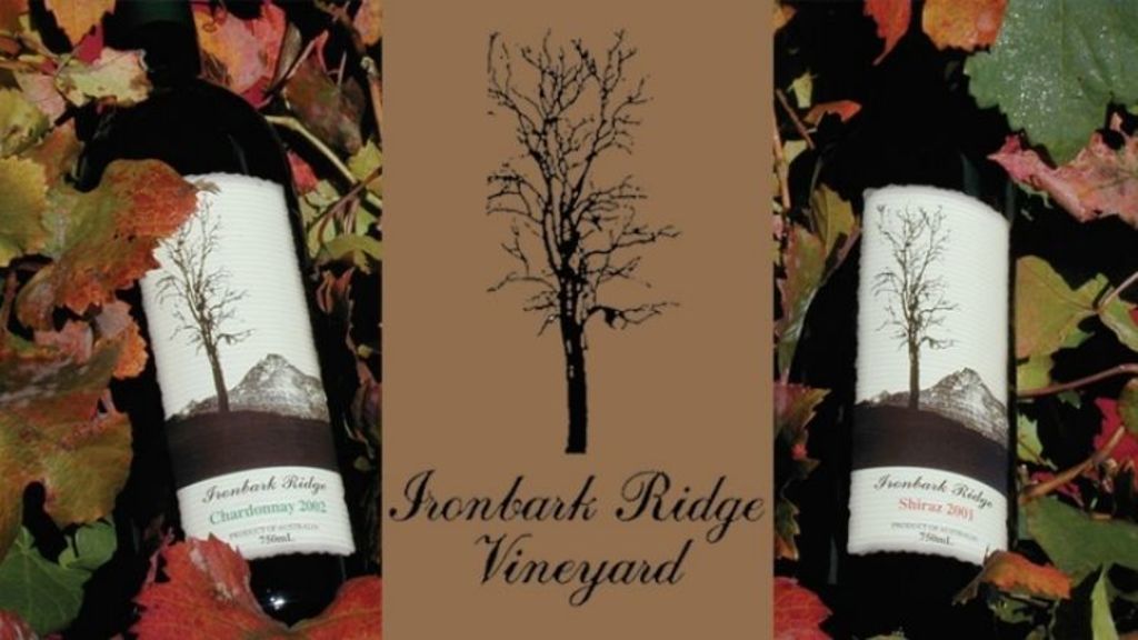 Ipswich’s only winery ripe for the picking