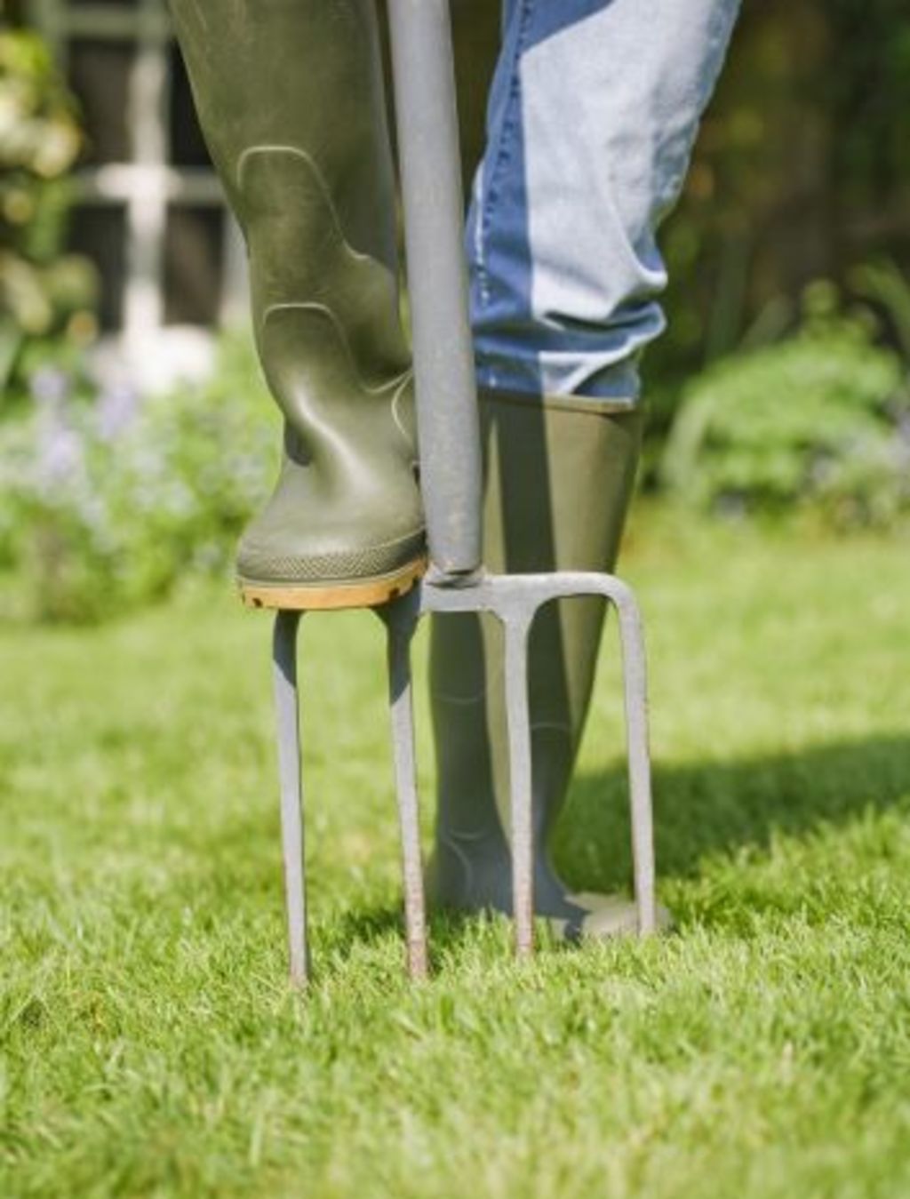 How To Get The Best Lawn For Winter