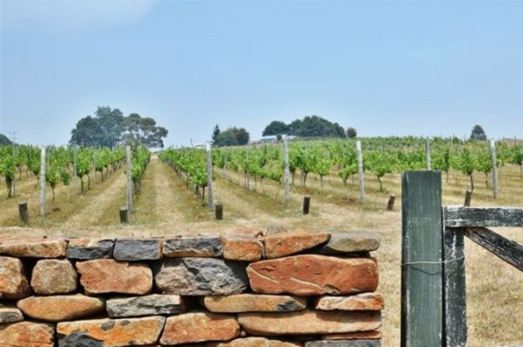 A winery clearance