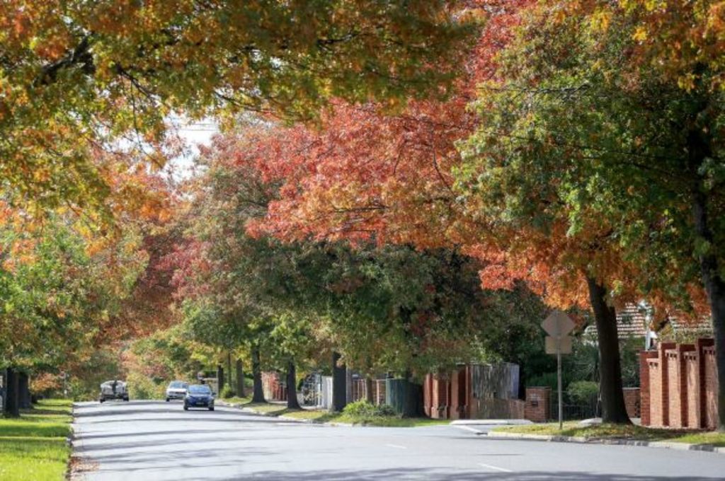 Neighbourhoods Glen Iris no longer the bridesmaid
