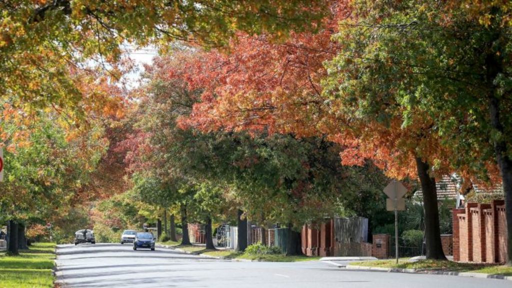 Neighbourhoods Glen Iris no longer the bridesmaid