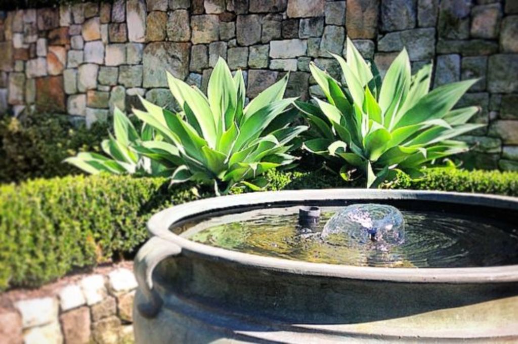 How to keep a water feature clean