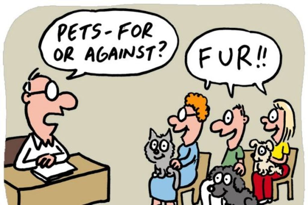 The strata truth about cats and dogs