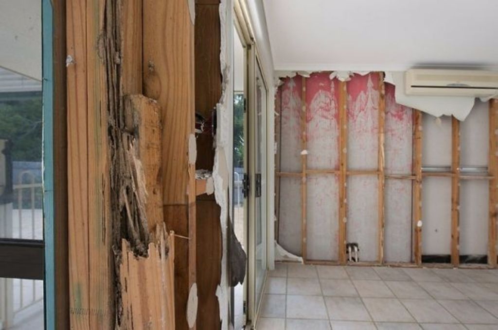 $130k loss in two years for termite-damaged house