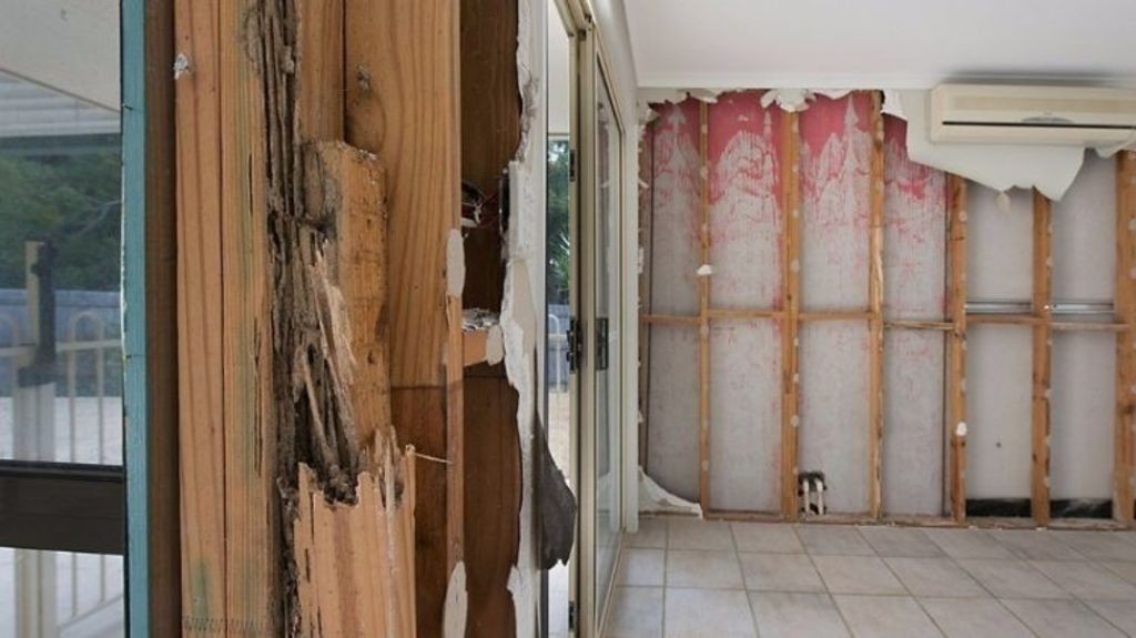 should i buy a house with termites