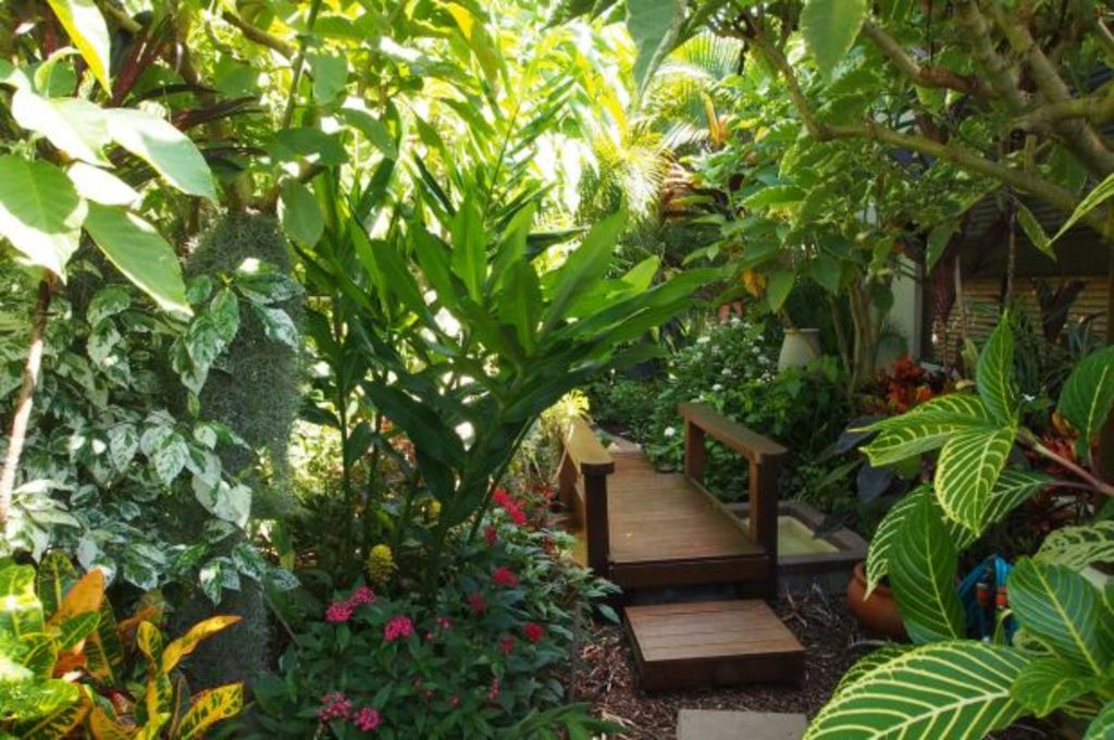 The best way to grow tropical plants