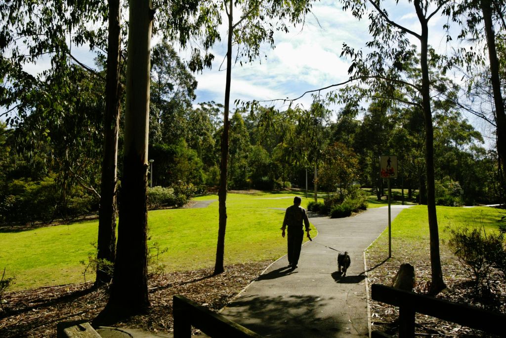 Liveable Sydney: The upper north shore's suburbs ranked by liveability