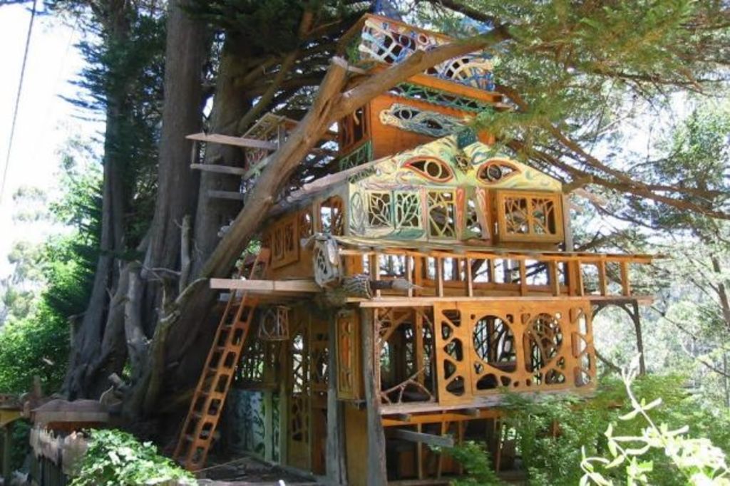 What it's like to live in a treehouse