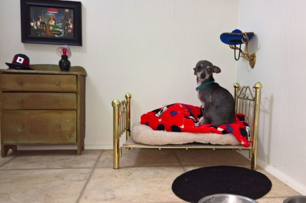 Chihuahua apartment on sale